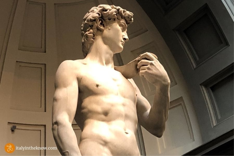Picture of the statue of David by Michelangelo